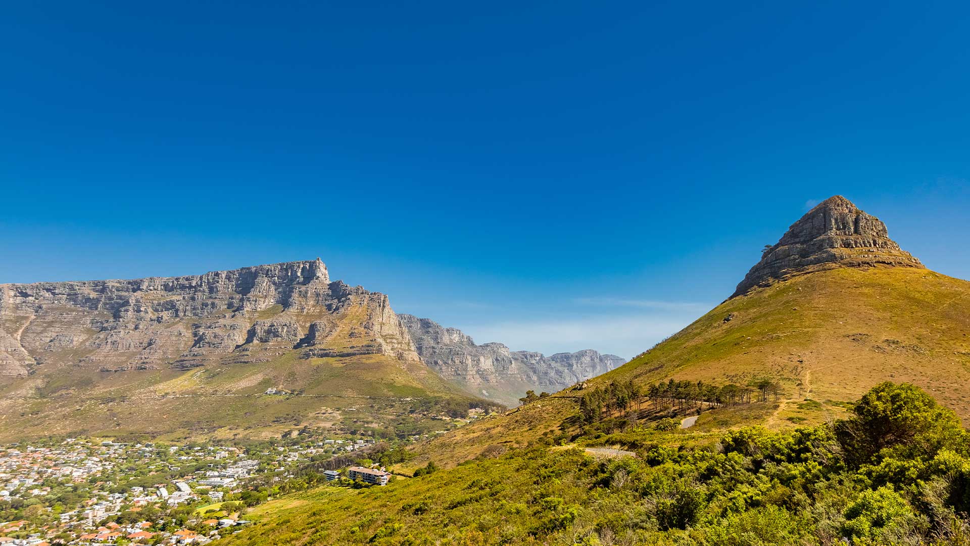 South African traveller preparing documents for a December holiday visa application